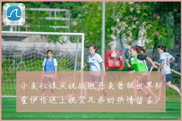 小麦社媒庆祝战胜丹麦晋级世界杯霍伊伦送上祝贺兄弟的热情留言