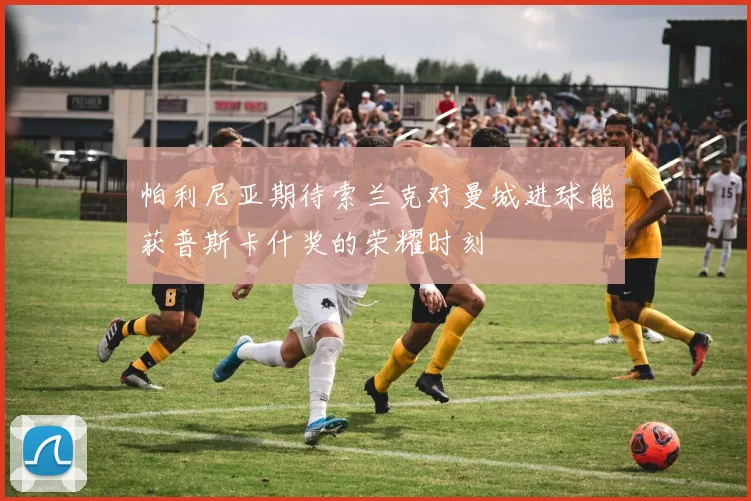 帕利尼亚期待索兰克对曼城进球能获普斯卡什奖的荣耀时刻