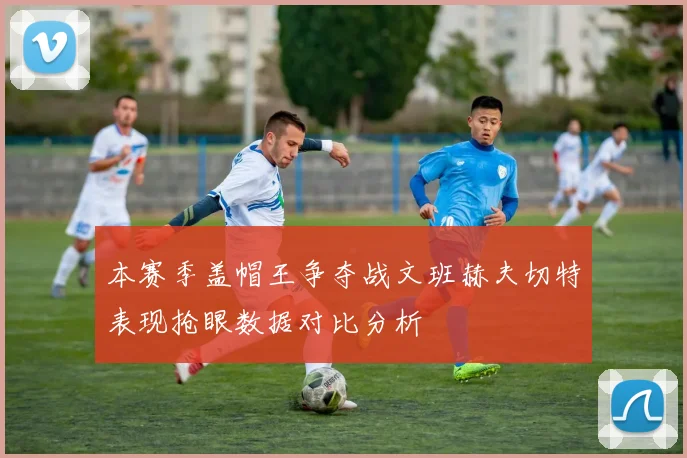 本赛季盖帽王争夺战文班赫夫切特表现抢眼数据对比分析