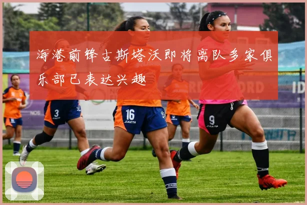 海港前锋古斯塔沃即将离队多家俱乐部已表达兴趣