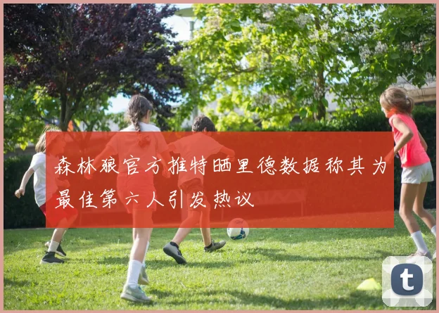 森林狼官方推特晒里德数据称其为最佳第六人引发热议